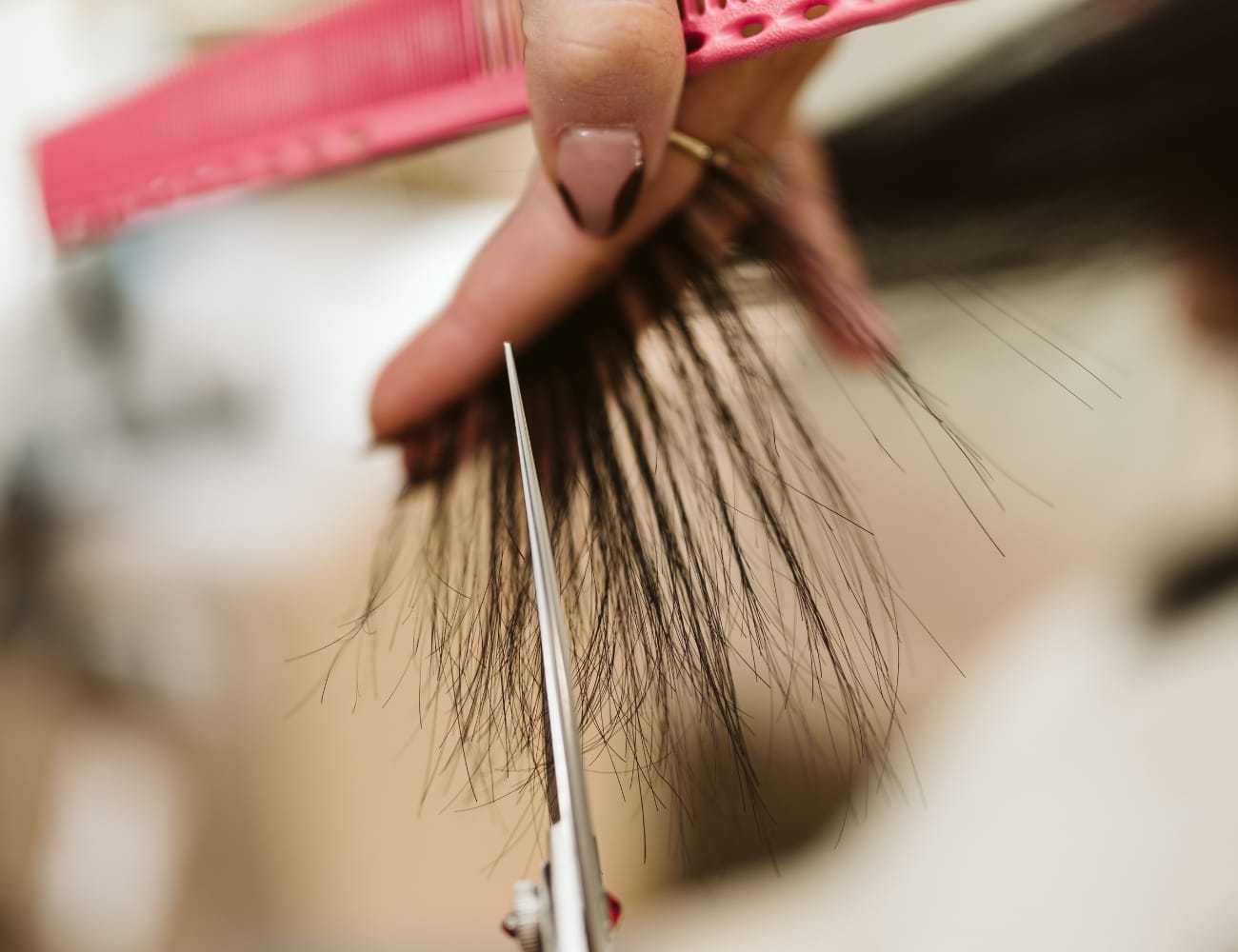Hairdresser cutting hair with scissors and pink comb.